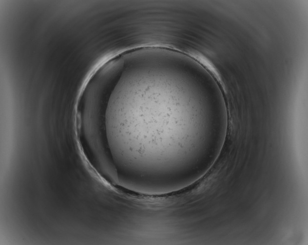 X0000087001096200704161519