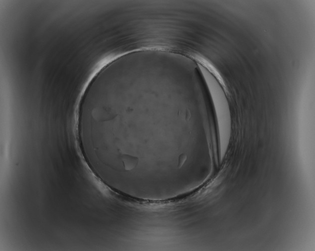 X0000087001099200704161519
