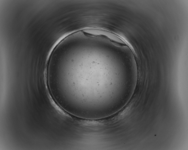 X0000087001100200704161519
