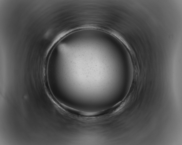 X0000087001101200704161519