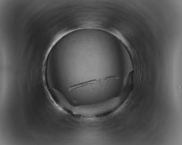 X0000087001102200704161519