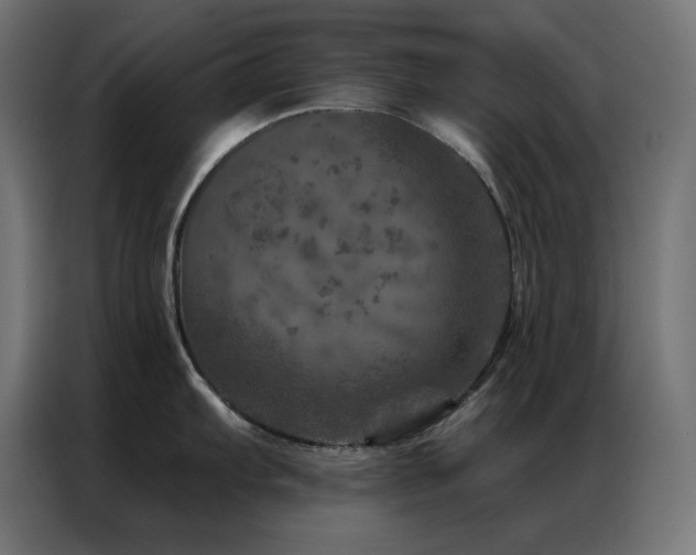 X0000087001103200704161519