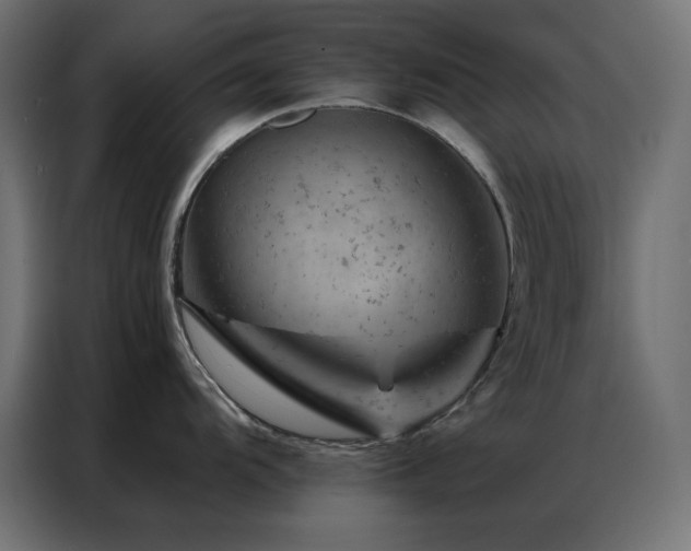 X0000087001104200704161519