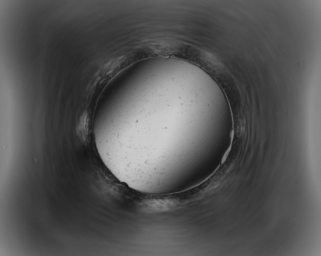 X0000087001108200704161519