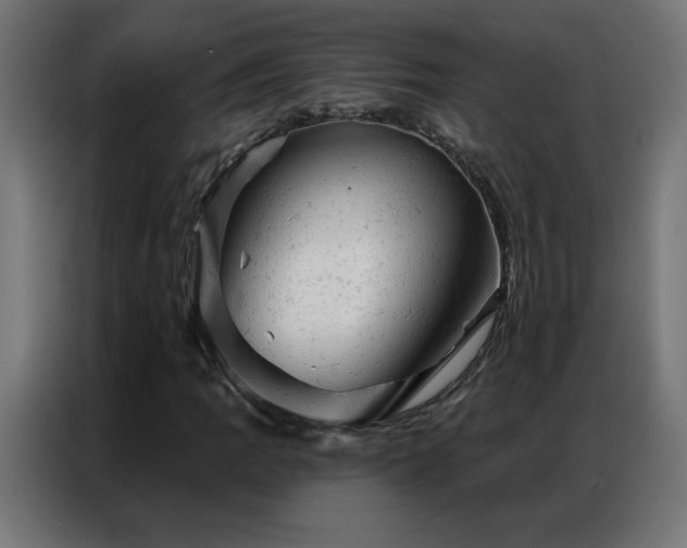 X0000087001109200704161519