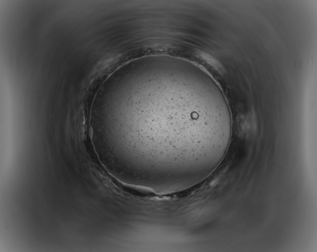 X0000087001111200704161519