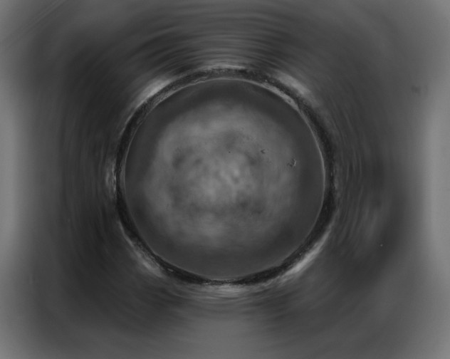 X0000087001113200704161519
