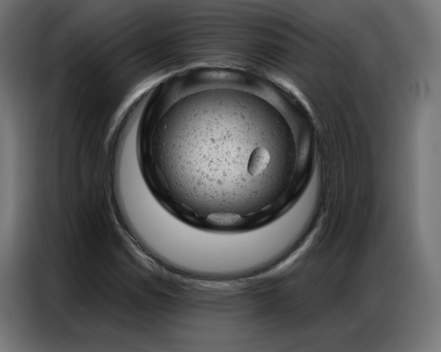 X0000087001114200704161519