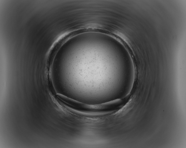 X0000087001115200704161519