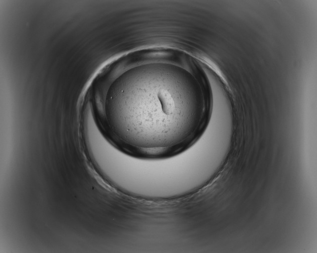 X0000087001116200704161519