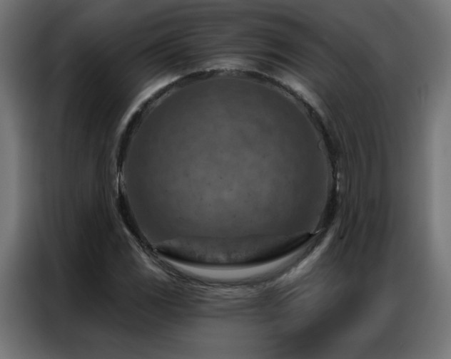 X0000087001117200704161519