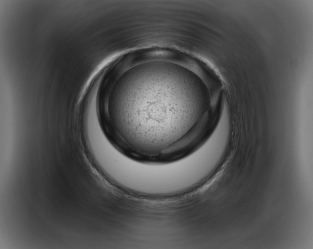 X0000087001118200704161519