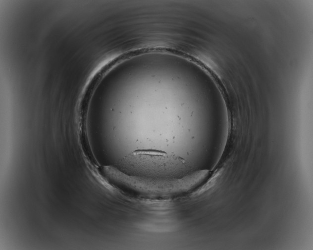 X0000087001119200704161519