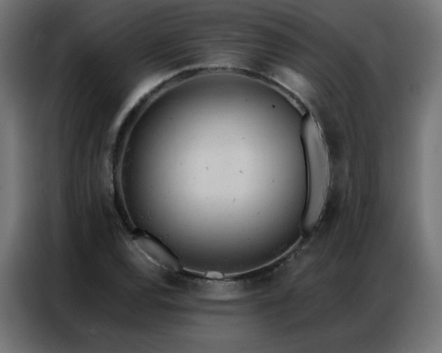 X0000087001120200704161519