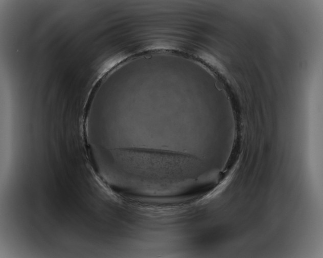 X0000087001121200704161519