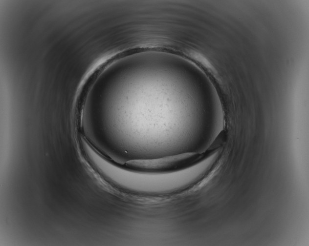 X0000087001122200704161519