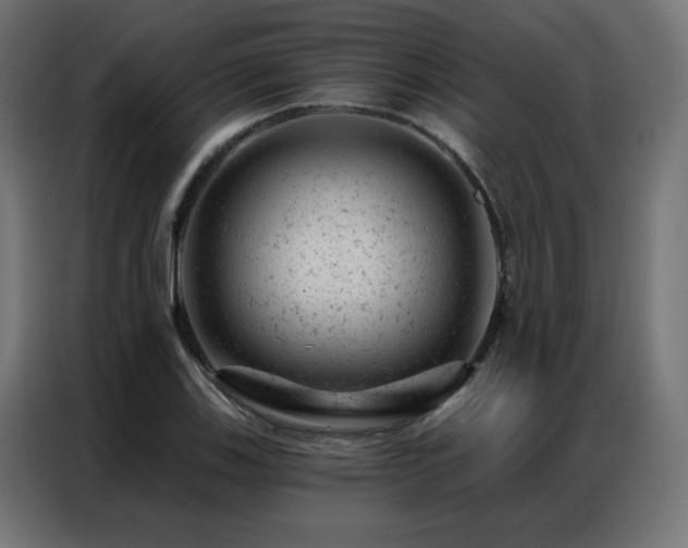X0000087001123200704161519