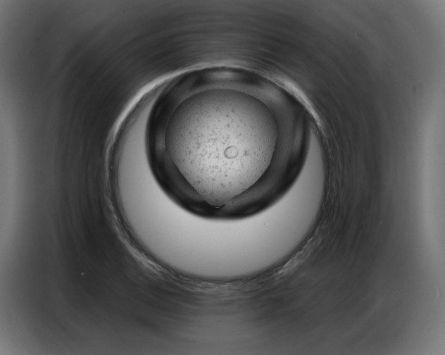 X0000087001124200704161519