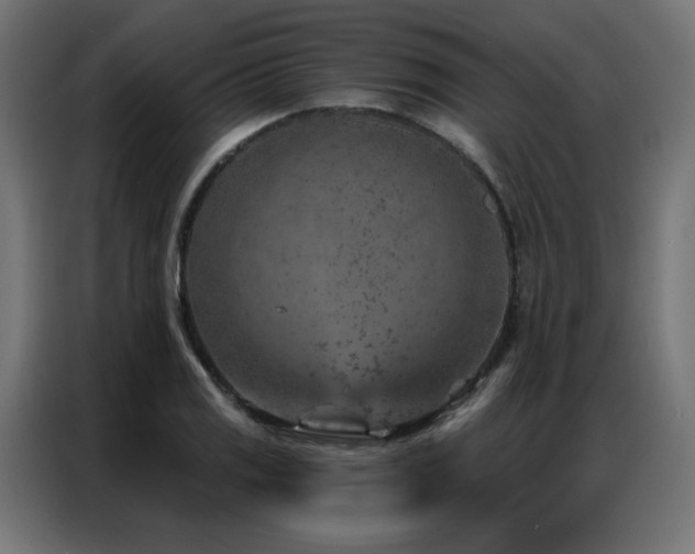X0000087001125200704161519