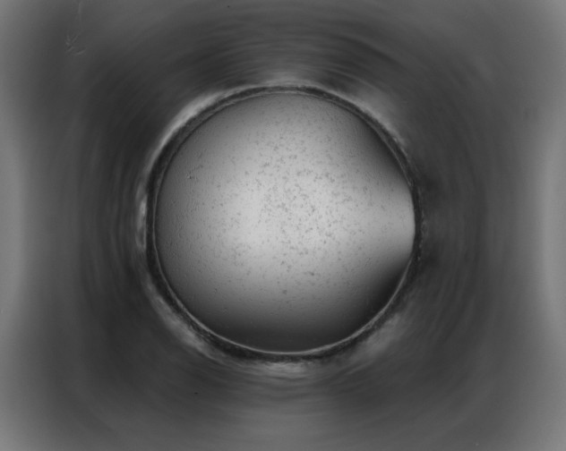 X0000087001126200704161519