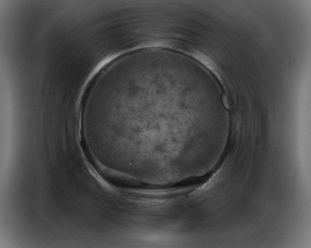 X0000087001127200704161519