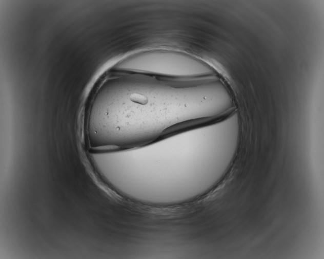X0000087001128200704161519