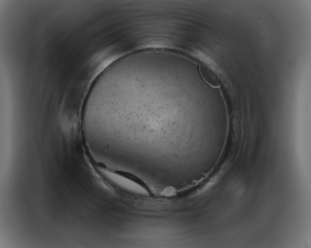 X0000087001129200704161519