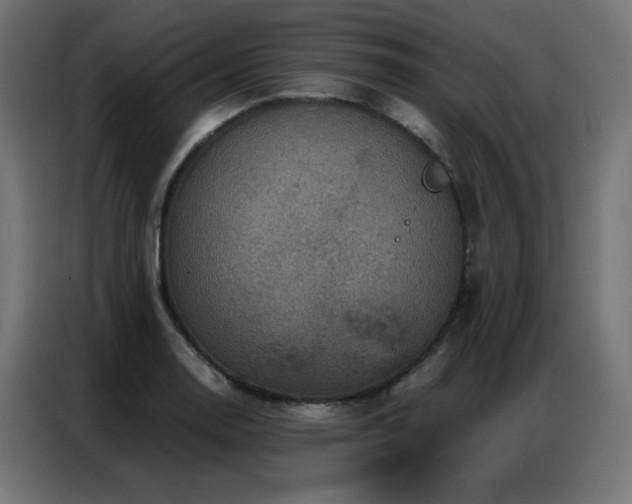 X0000087001130200704161519