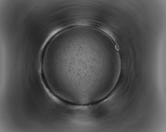 X0000087001131200704161519