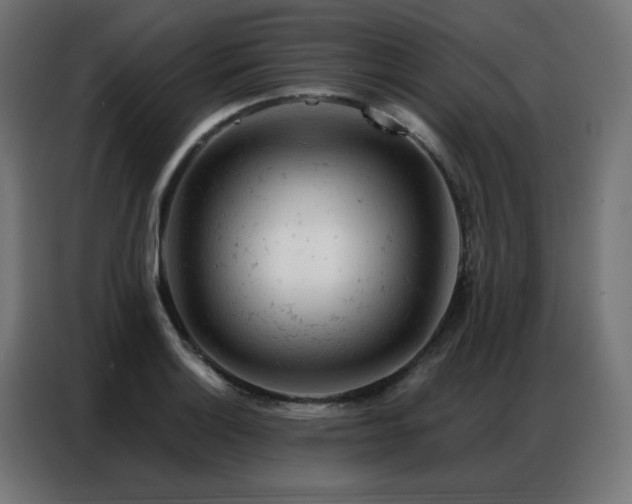 X0000087001132200704161519