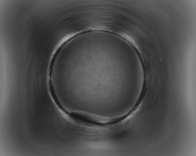 X0000087001133200704161519
