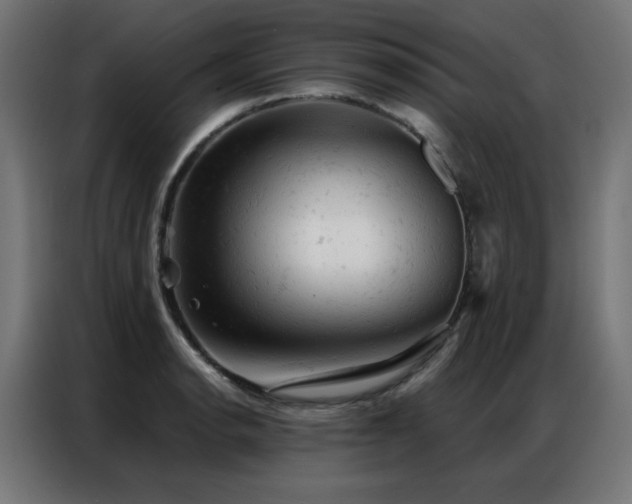X0000087001134200704161519