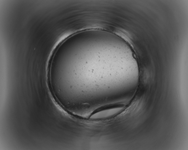 X0000087001135200704161519