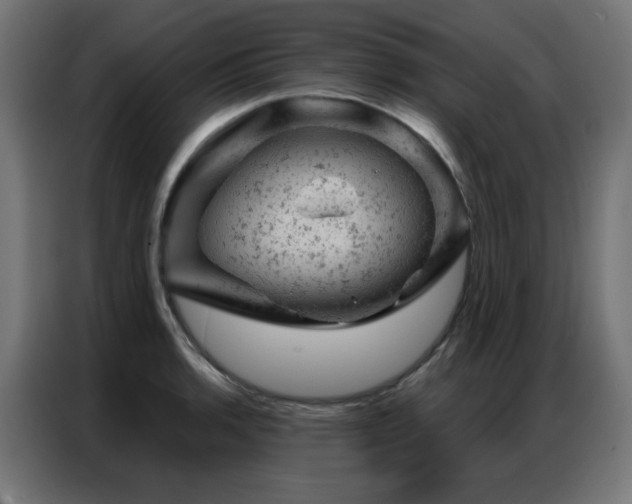 X0000087001136200704161519