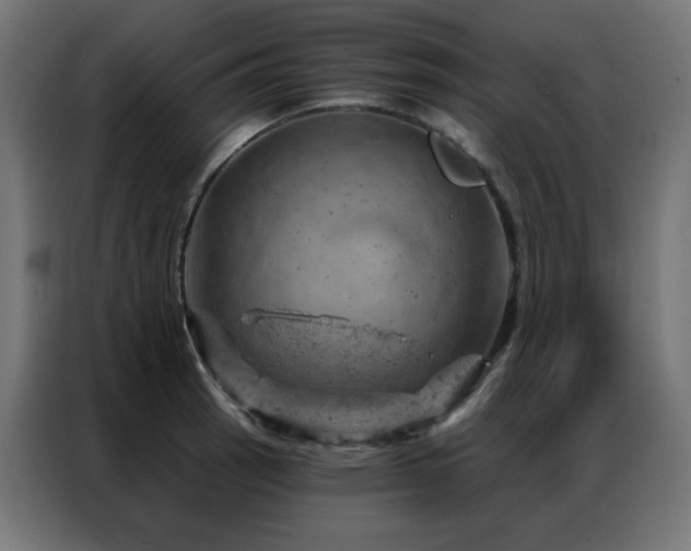 X0000087001137200704161519