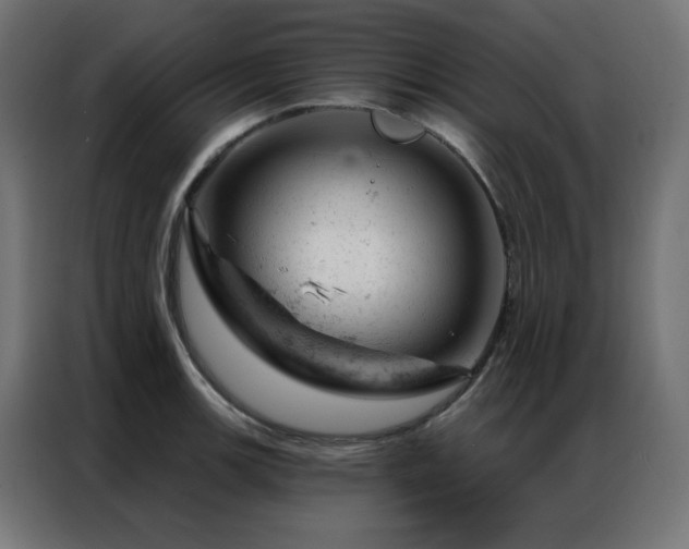 X0000087001139200704161519