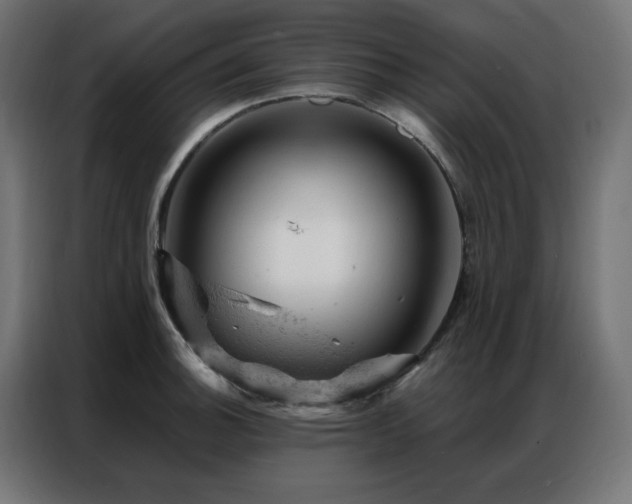 X0000087001140200704161519