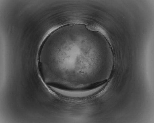 X0000087001141200704161519