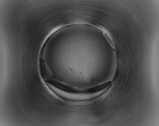 X0000087001142200704161519