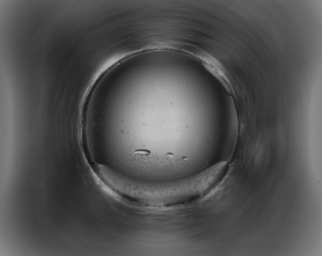 X0000087001143200704161519