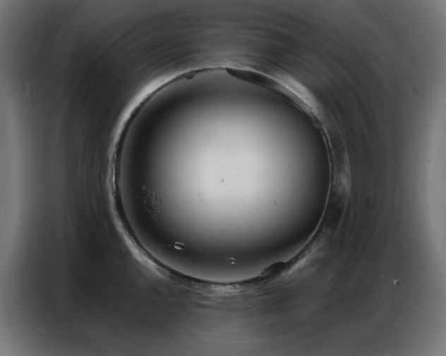 X0000087001144200704161519