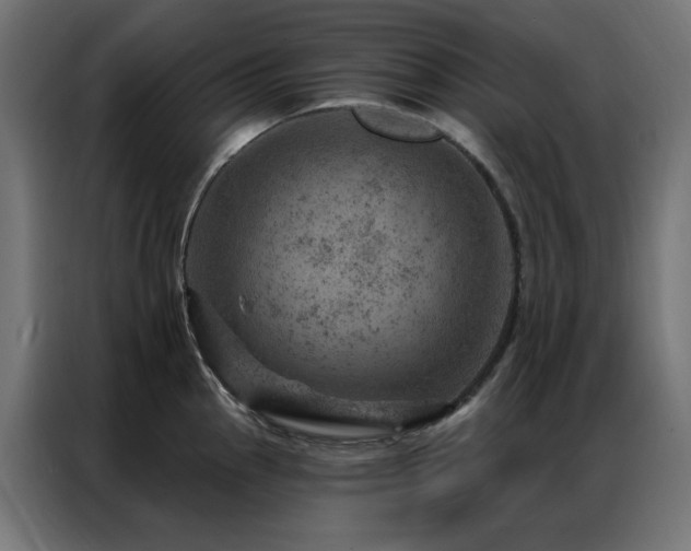 X0000087001145200704161519