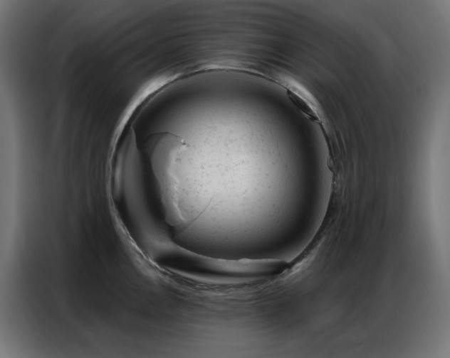X0000087001146200704161519