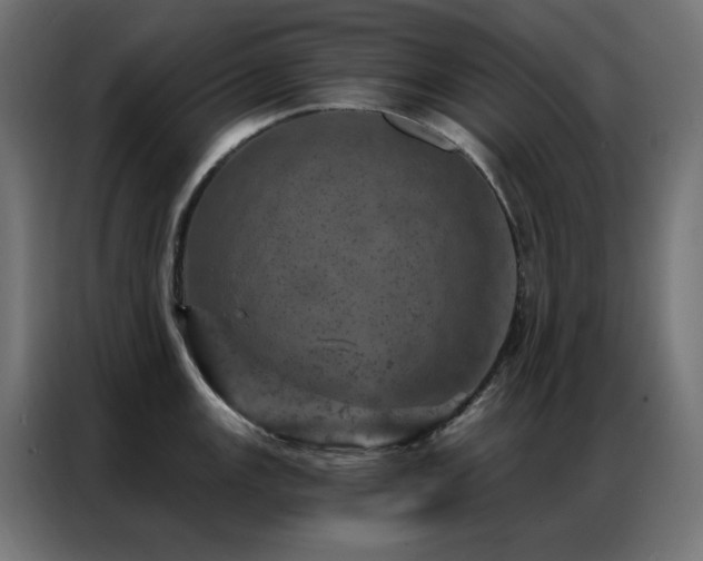 X0000087001147200704161519
