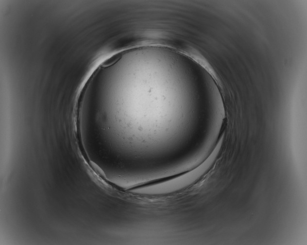 X0000087001148200704161519