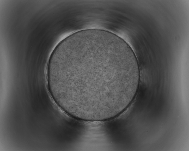 X0000087001150200704161519