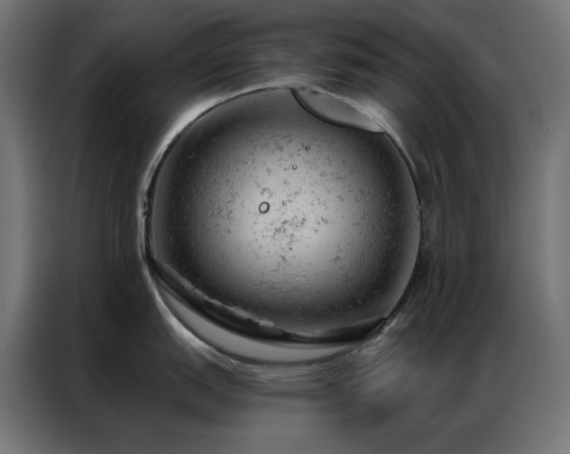 X0000087001151200704161519