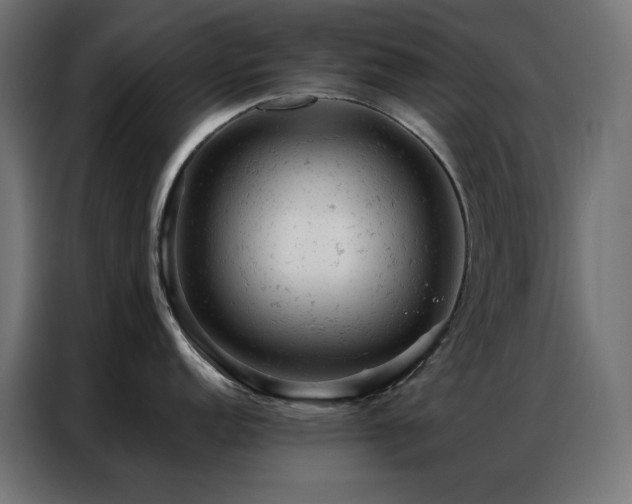 X0000087001152200704161519