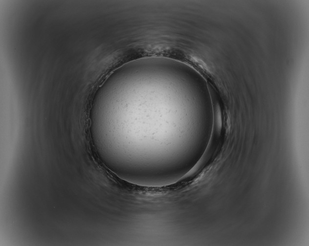 X0000087001153200704161519