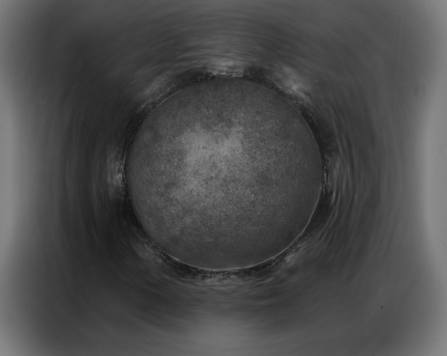 X0000087001154200704161519
